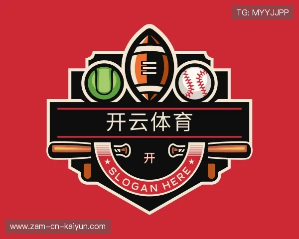 介绍开云官网入口